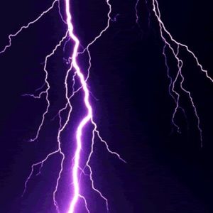 Meet your Posher, Eva